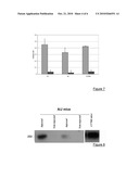 ADENO-ASSOCIATED VIRAL VECTORS FOR THE EXPRESSION OF DYSFERLIN diagram and image