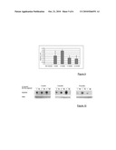 ADENO-ASSOCIATED VIRAL VECTORS FOR THE EXPRESSION OF DYSFERLIN diagram and image