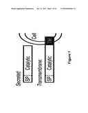 PROSTATIC ACID PHOSPHATASE FOR THE TREATMENT OF PAIN diagram and image