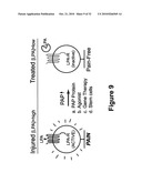 PROSTATIC ACID PHOSPHATASE FOR THE TREATMENT OF PAIN diagram and image