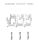 PROSTATIC ACID PHOSPHATASE FOR THE TREATMENT OF PAIN diagram and image