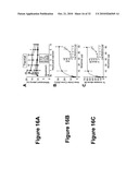 PROSTATIC ACID PHOSPHATASE FOR THE TREATMENT OF PAIN diagram and image