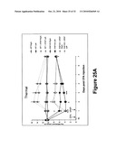 PROSTATIC ACID PHOSPHATASE FOR THE TREATMENT OF PAIN diagram and image