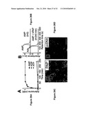 PROSTATIC ACID PHOSPHATASE FOR THE TREATMENT OF PAIN diagram and image