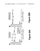 PROSTATIC ACID PHOSPHATASE FOR THE TREATMENT OF PAIN diagram and image