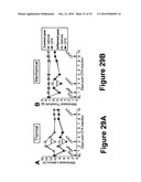 PROSTATIC ACID PHOSPHATASE FOR THE TREATMENT OF PAIN diagram and image