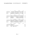 CYTOKINE RECEPTOR ZCYTOR17 MULTIMERS diagram and image