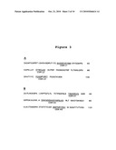 ULTRA HIGH AFFINITY NEUTRALIZING ANTIBODIES diagram and image