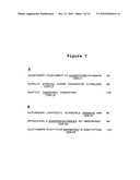 ULTRA HIGH AFFINITY NEUTRALIZING ANTIBODIES diagram and image