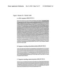 D1-1 NUCLEIC ACIDS, POLYPEPTIDES AND RELATED METHODS diagram and image