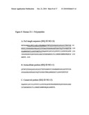 D1-1 NUCLEIC ACIDS, POLYPEPTIDES AND RELATED METHODS diagram and image