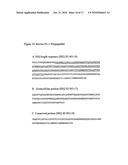 D1-1 NUCLEIC ACIDS, POLYPEPTIDES AND RELATED METHODS diagram and image