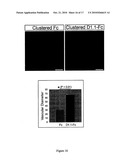 D1-1 NUCLEIC ACIDS, POLYPEPTIDES AND RELATED METHODS diagram and image