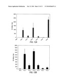 HIVCON: AN HIV IMMUNOGEN AND USES THEREOF diagram and image