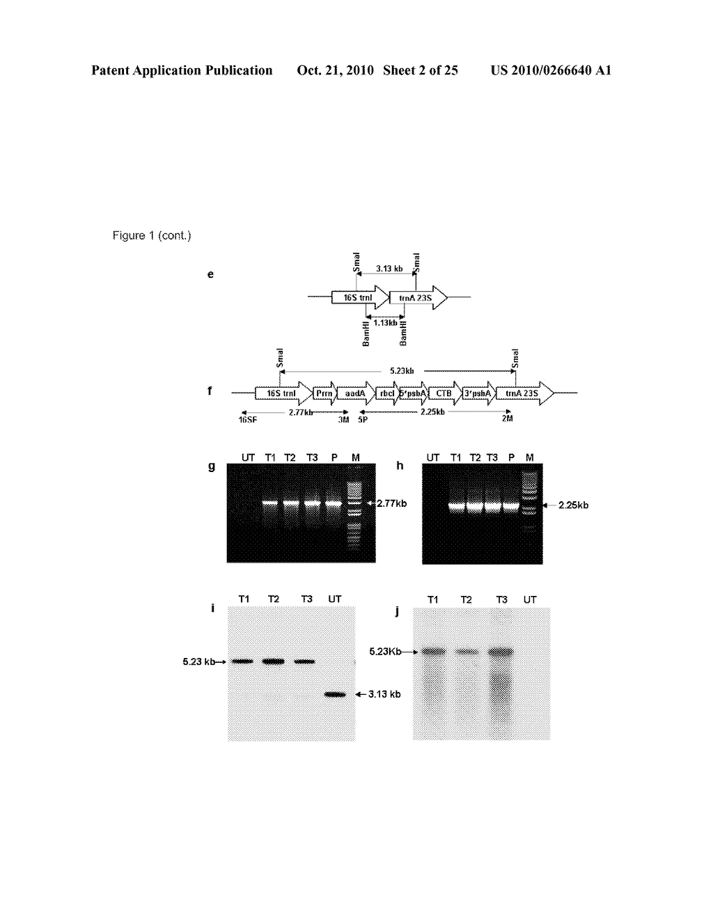 Plant-Derived Cholera and Malaria Vaccine - diagram, schematic, and image 03