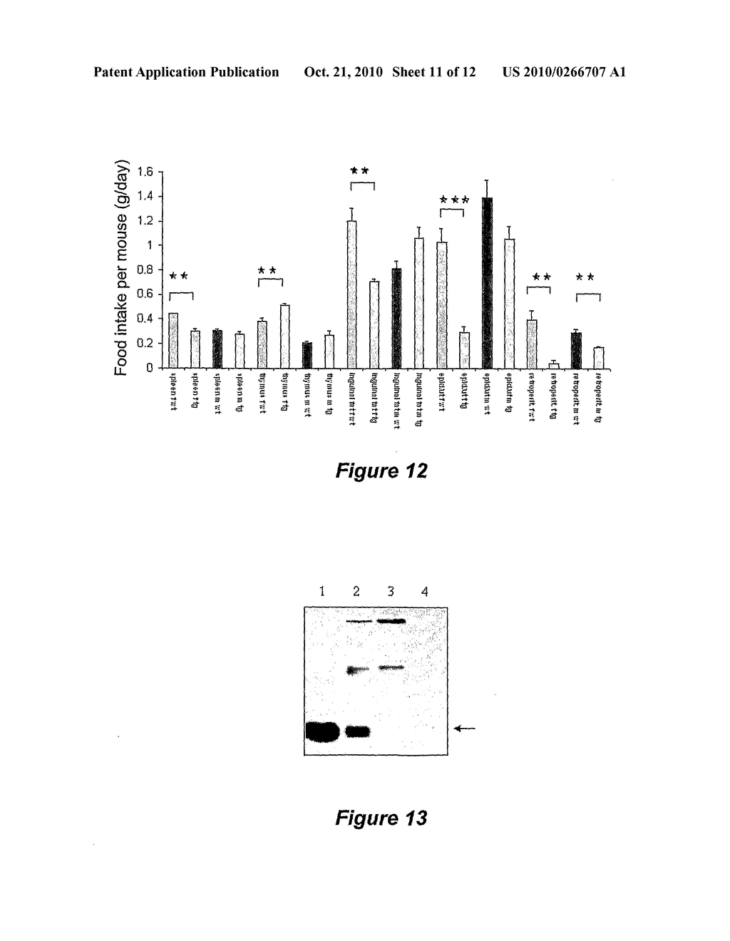 METHOD OF TREATING CACHEXIA WITH THE REMOVAL OR INACTIVATION OF MACROPHAGE INHIBITORY CYTOKINE-1 - diagram, schematic, and image 12