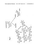 METHODS AND KIT FOR ENDOMETRIOSIS SCREENING diagram and image