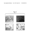 METHODS AND KIT FOR ENDOMETRIOSIS SCREENING diagram and image