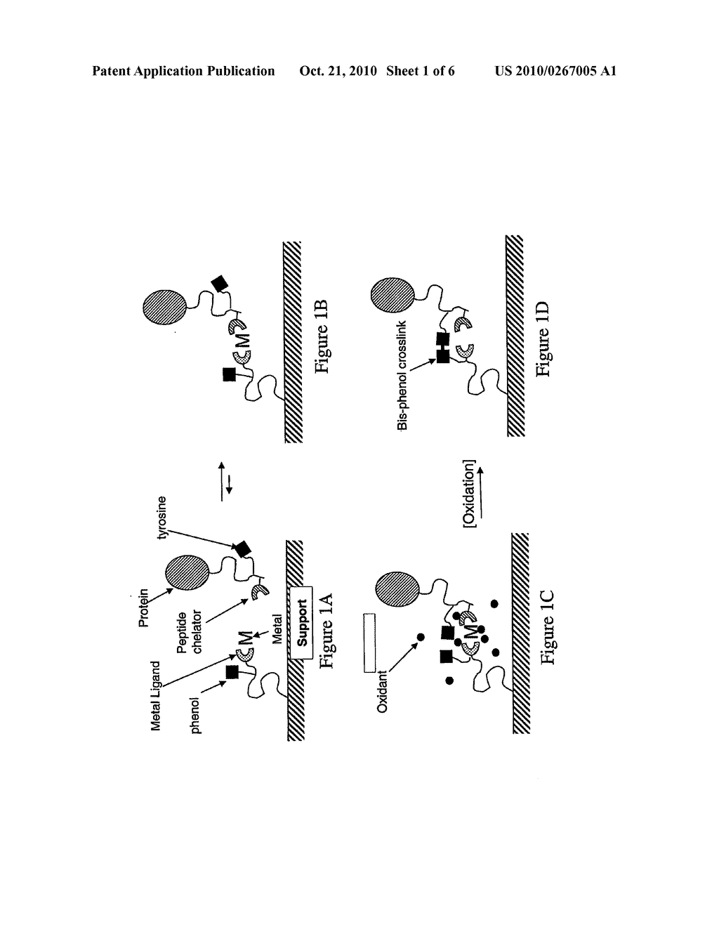 Crosslinking Within Coordination Complexes - diagram, schematic, and image 02