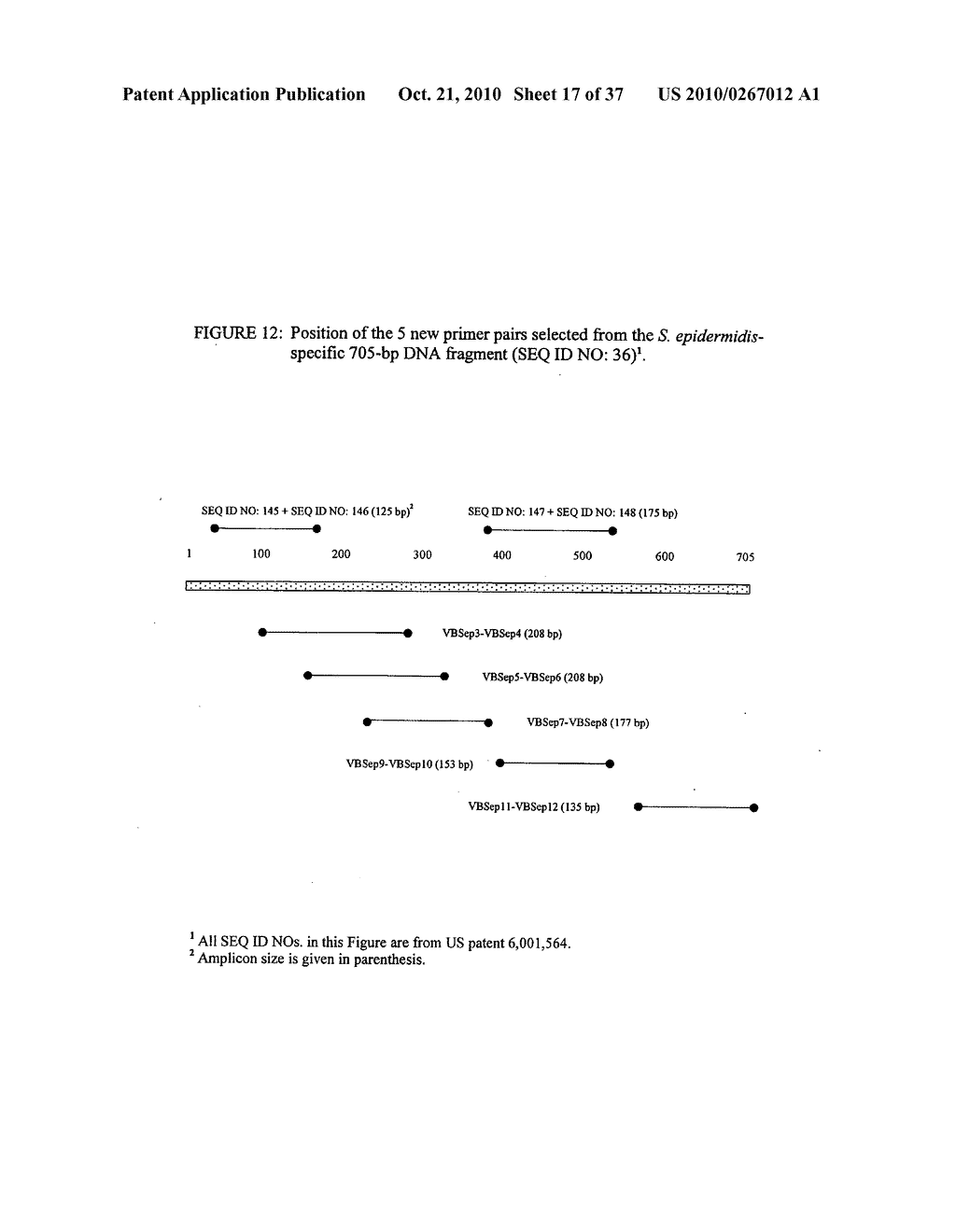 Highly conserved genes and their use to generate probes and primers for detection of microorganisms - diagram, schematic, and image 18