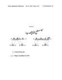 NUCLEIC ACID DETECTION diagram and image