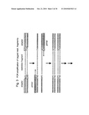 SELECTIVE RESTRICTION FRAGMENT AMPLIFICATION: FINGERPRINTING diagram and image