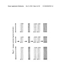 SELECTIVE RESTRICTION FRAGMENT AMPLIFICATION: FINGERPRINTING diagram and image