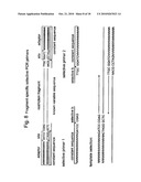 SELECTIVE RESTRICTION FRAGMENT AMPLIFICATION: FINGERPRINTING diagram and image