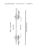 SELECTIVE RESTRICTION FRAGMENT AMPLIFICATION: FINGERPRINTING diagram and image