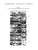 SELECTIVE RESTRICTION FRAGMENT AMPLIFICATION: FINGERPRINTING diagram and image