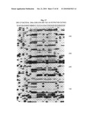 SELECTIVE RESTRICTION FRAGMENT AMPLIFICATION: FINGERPRINTING diagram and image