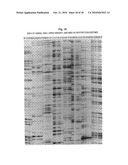 SELECTIVE RESTRICTION FRAGMENT AMPLIFICATION: FINGERPRINTING diagram and image