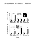 GENOTOXICITY AS A BIOMARKER FOR INFLAMMATION diagram and image