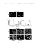 GENOTOXICITY AS A BIOMARKER FOR INFLAMMATION diagram and image