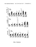 GENOTOXICITY AS A BIOMARKER FOR INFLAMMATION diagram and image