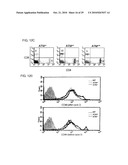 GENOTOXICITY AS A BIOMARKER FOR INFLAMMATION diagram and image