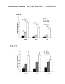 GENOTOXICITY AS A BIOMARKER FOR INFLAMMATION diagram and image