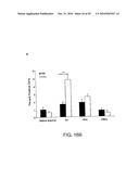 GENOTOXICITY AS A BIOMARKER FOR INFLAMMATION diagram and image