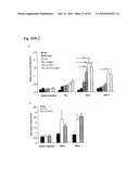 GENOTOXICITY AS A BIOMARKER FOR INFLAMMATION diagram and image