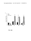 GENOTOXICITY AS A BIOMARKER FOR INFLAMMATION diagram and image