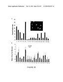 GENOTOXICITY AS A BIOMARKER FOR INFLAMMATION diagram and image