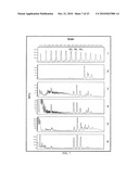 PROTEIN GLYCOSYLATION MODIFICATION IN METHYLOTROPHIC YEAST diagram and image