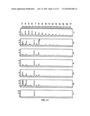 PROTEIN GLYCOSYLATION MODIFICATION IN METHYLOTROPHIC YEAST diagram and image