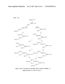 NOVEL SACCHARIDE PRIMER diagram and image