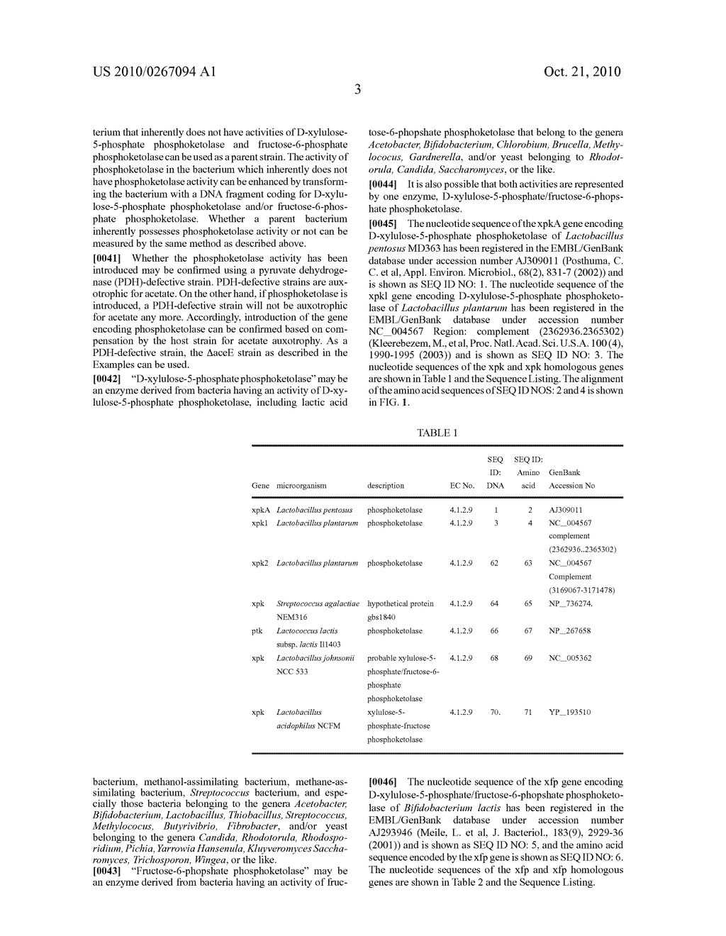 USE OF PHOSPHOKETOLASE FOR PRODUCING USEFUL METABOLITES - diagram, schematic, and image 16