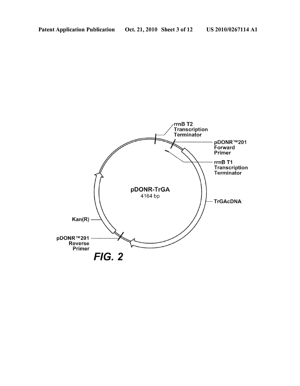 Glucoamylase Variants with Altered Properties - diagram, schematic, and image 04