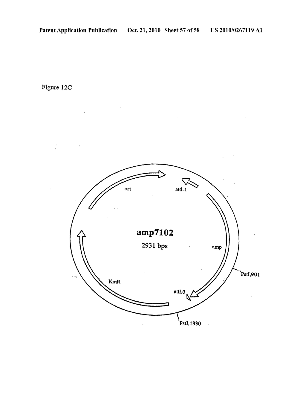 RECOMBINATIONAL CLONING USING NUCLEIC ACIDS HAVING RECOMBINATION SITES - diagram, schematic, and image 58