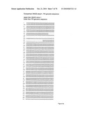 RECOMBINANT VECTOR CONTAINING INFECTIOUS HUMAN CYTOMEGALOVIRUS GENOME WITH PRESERVED WILD-TYPE CHARACTERISTICS OF CLINICAL ISOLATES diagram and image