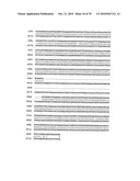 RECOMBINANT VECTOR CONTAINING INFECTIOUS HUMAN CYTOMEGALOVIRUS GENOME WITH PRESERVED WILD-TYPE CHARACTERISTICS OF CLINICAL ISOLATES diagram and image