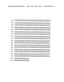 RECOMBINANT VECTOR CONTAINING INFECTIOUS HUMAN CYTOMEGALOVIRUS GENOME WITH PRESERVED WILD-TYPE CHARACTERISTICS OF CLINICAL ISOLATES diagram and image